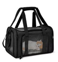 Dog Carrier Backpack